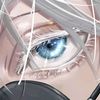 clover_elitora