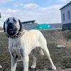 www.tiktok.comaksray