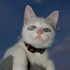 thns_28