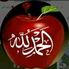 khadija17a