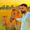 bilal000336