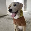 kholeenjayyyyyyyy