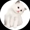 _linda6167