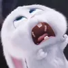 leibang99_9702