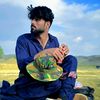 tofeeq.mehr