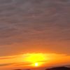 aynur.quliyeva06