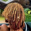eaglet_vee