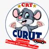 crt.curut.ctr