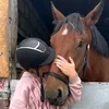 .a.g.a.horses