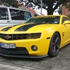 wildaudi334