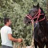 jasurbek_muzaffarov