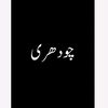 chaudhary_nouman_512