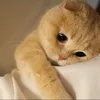 rawaa.ahmad5