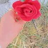 useart236786
