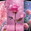 user7410153077186