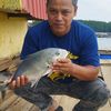 jaws.hamid5