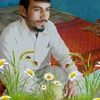 naheed.gull.t.s