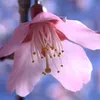 nicefriend84