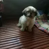 _leogmail.com3112