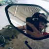 ridewann902