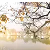 minh.le762