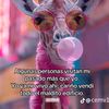 mari_guasa0