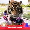 minnursinabangsajohor