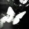 diiadum_203