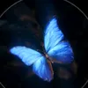 .daneah