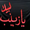 k_dm007