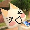 shania_1241