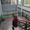 in_taanynl