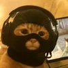 who_tf_is_wel