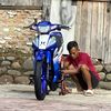 fiz_r.bluelight