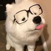 feswe2300