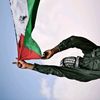 lamiss_gh11