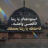 user4802903514393