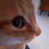 kyssts_57