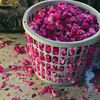 singlehoo1234