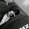 mztclbp