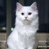 ko..moe97