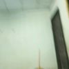 user7756326232504