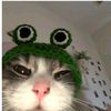 diaanamlya_