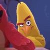 random.bird.fr