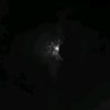 albiv2_