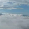 sadboiii710