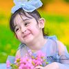 user11404108145727