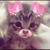 rebeccaharracks4