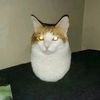 floydwasright