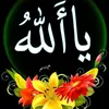 alib9207